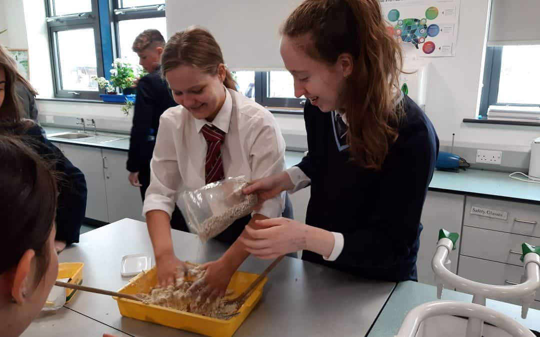 Biodiversity project with St. Patrick’s Academy
